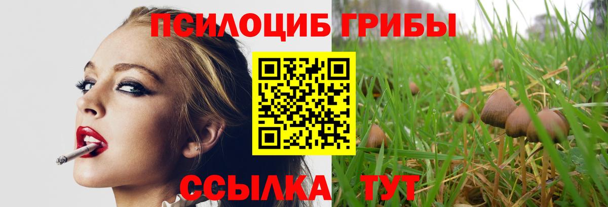 Архангельск  Галлюциногенные грибы Psilocybine cubensis  Вход с VPN  где продают наркотики  Псилоцибиновые грибы GOLDEN TEACHER 